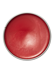 Red circular object with a metallic rim on a white background