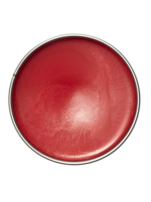 Red circular object with a metallic rim on a white background