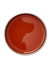 Red circular object with a metallic rim on a white background