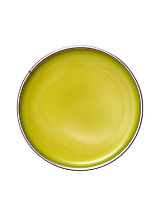 Green ceramic plate on a white background