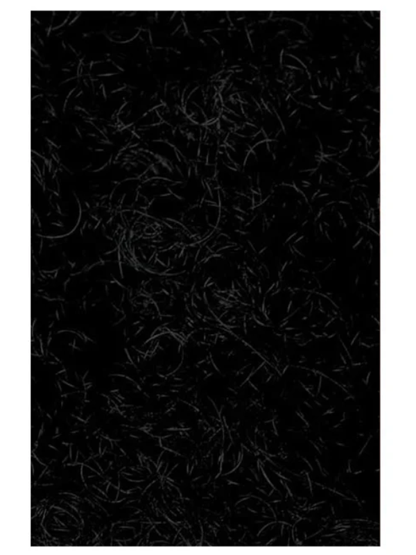 Bigen EZ Color for Men - Natural Hair & Beard Color