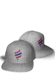 Barber Strong Snapback Grey