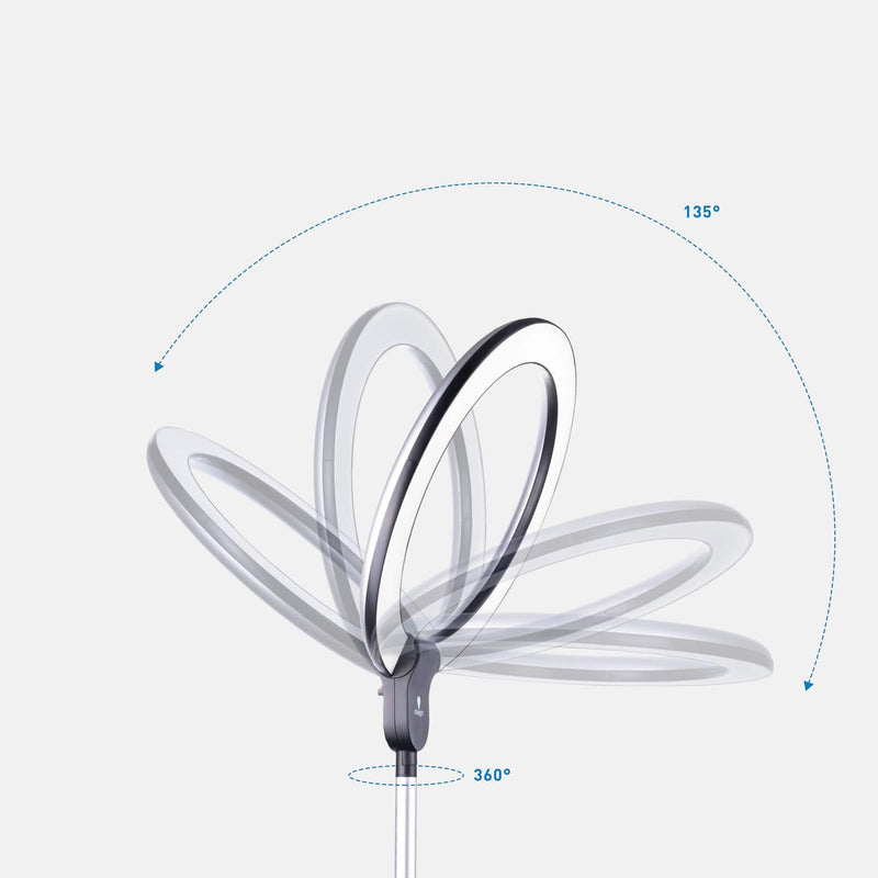 Daylight Floor Lamp Aura Ring Lamp